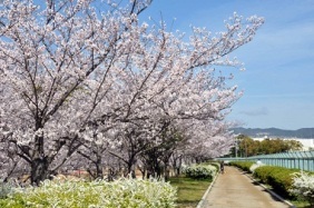 瑞ケ池公園