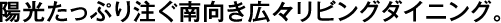 陽光たっぷりそそぐ南向き広々リビングダイニング。