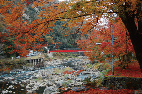 武庫川渓谷河畔