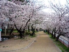 石屋川公園