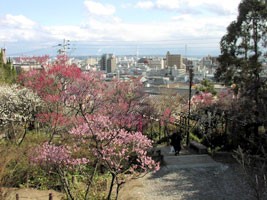 岡本公園（岡本梅林）