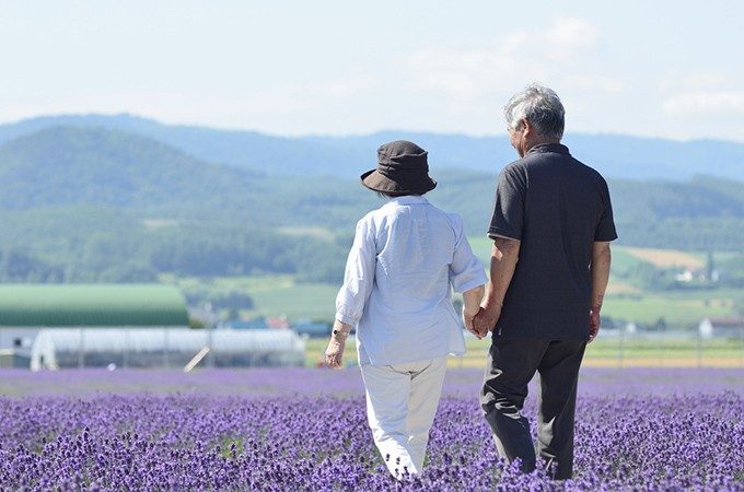 花畑を歩く夫婦