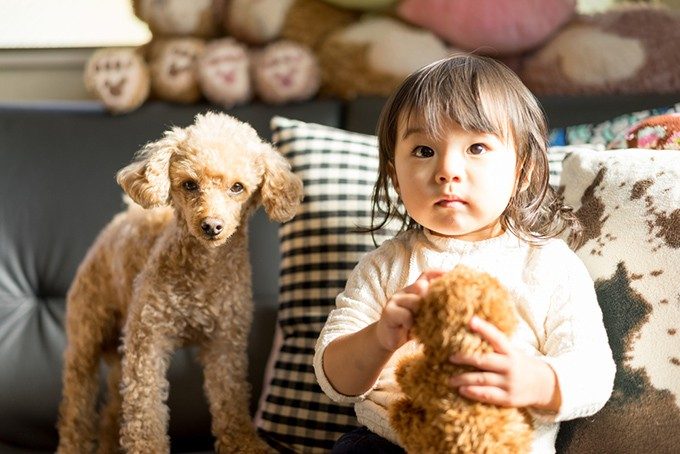 子犬と子供