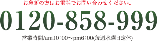 TEL 0120-858-999(営業時間/AM10:00～PM6:00/毎週水曜日定休)